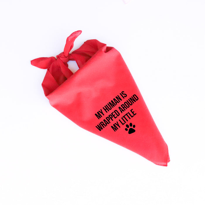 MY HUMAN IS WRAPPED - DOG BANDANA