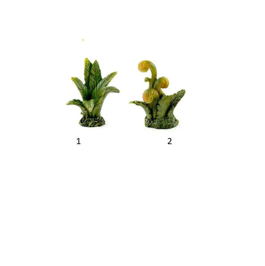 Choice of Tropical Island Plant