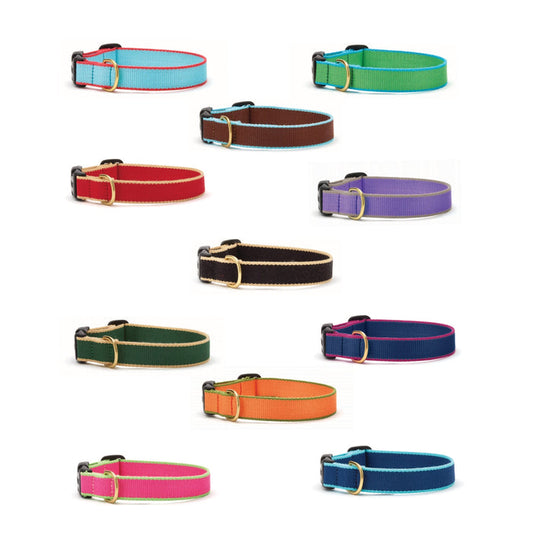 Color Market Dog Collars  Extra Wide (Choose Color)
