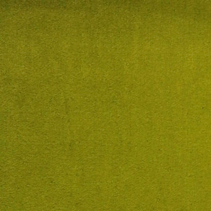 Wasabi