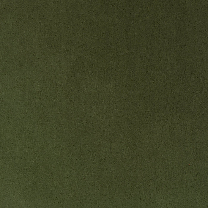 Basil