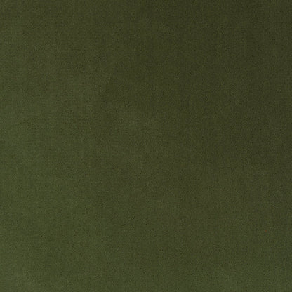 Basil