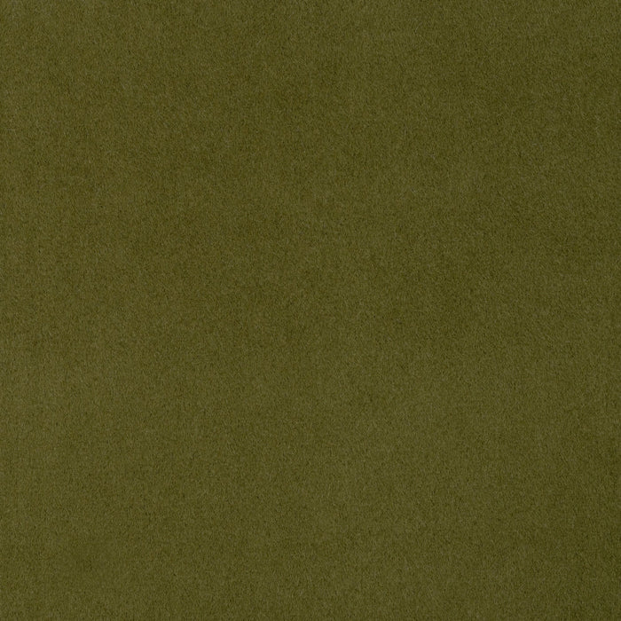 GRASS