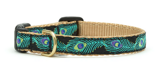 Peacock Cat Collar