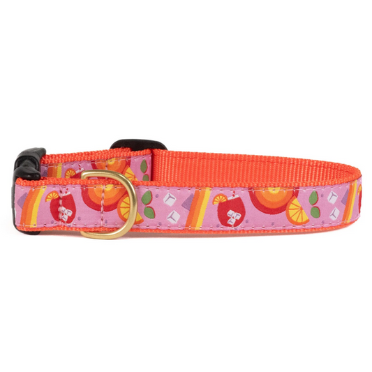 Spritz Dog Collar