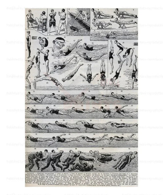Swimming - VINTAGEARTREPRINTS.COM
