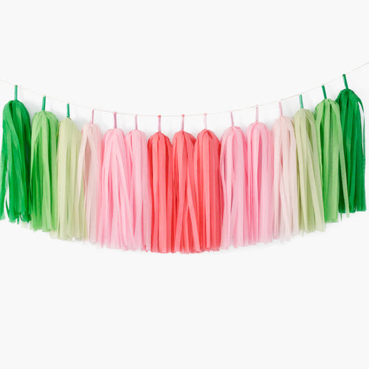 Watermelon Party Decoration, One in a Melon 1st Birthday Decor
